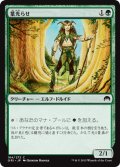 葉光らせ/Leaf Gilder (ORI)