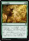 ニッサの巡礼/Nissa's Pilgrimage (ORI)