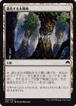 画像1: 進化する未開地/Evolving Wilds (ORI)