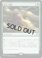 進化の飛躍/Evolutionary Leap (ORI) (Prerelease Card)