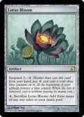 睡蓮の花/Lotus Bloom (MMA)