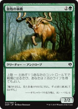 画像1: 放牧の林鹿/Grazing Gladehart (DDP)