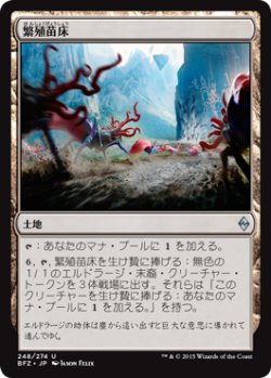 画像1: 繁殖苗床/Spawning Bed (BFZ)