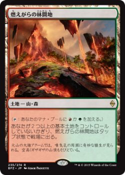 画像1: 燃えがらの林間地/Cinder Glade (BFZ)