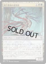 地下墓地の選別者/Catacomb Sifter (BFZ)