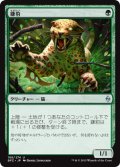 鎌豹/Scythe Leopard (BFZ)