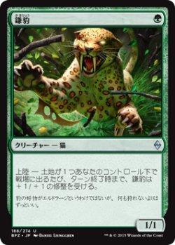 画像1: 鎌豹/Scythe Leopard (BFZ)