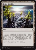 進化する未開地/Evolving Wilds (BFZ)