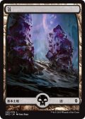 沼/Swamp 【Ver.4】 (BFZ)