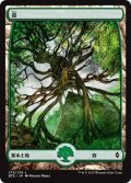 森/Forest 【Ver.4】 (BFZ)