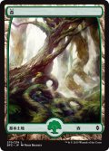 森/Forest 【Ver.1】 (BFZ)