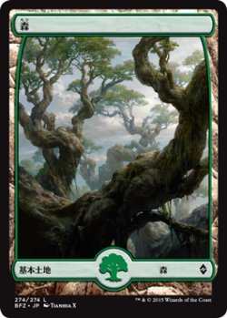 画像1: 森/Forest 【Ver.5】 (BFZ)