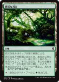 肥沃な茂み/Fertile Thicket (BFZ)