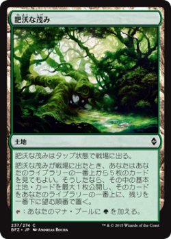 画像1: 肥沃な茂み/Fertile Thicket (BFZ)