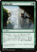 未開地の捜索/Seek the Wilds (BFZ)