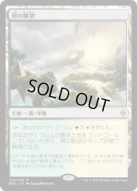 梢の眺望/Canopy Vista (Prerelease Card)