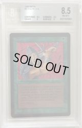 【BGS8.5】狂暴化/Berserk (LEB)