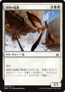 画像1: 探検の猛禽/Expedition Raptor (OGW)