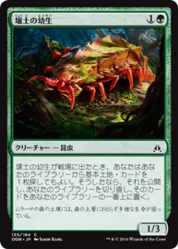 画像1: 壌土の幼生/Loam Larva (OGW)