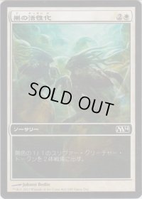 巣の活性化/Hive Stirrings (Game Day)