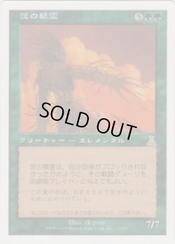画像1: 茨の精霊/Thorn Elemental (Book)