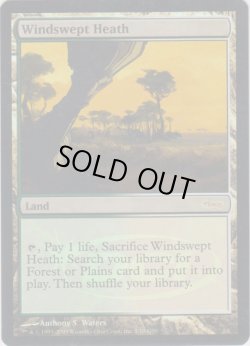 画像1: 吹きさらしの荒野/Windswept Heath (Judge)