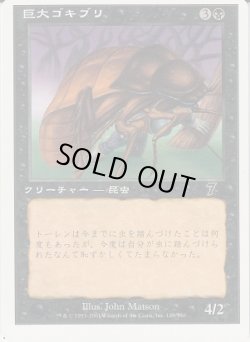 画像1: 巨大ゴキブリ/Giant Cockroach (7ED)【ミスカット】
