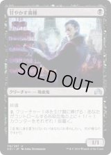 甘やかす貴種/Indulgent Aristocrat (SOI)