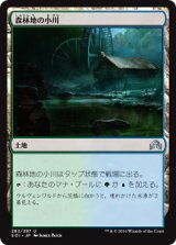 森林地の小川/Woodland Stream (SOI)