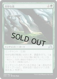 奇妙な森/Weirding Wood (SOI)