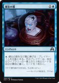 健忘の器/Vessel of Paramnesia (SOI)