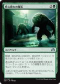 吠え群れの復活/Howlpack Resurgence (SOI)