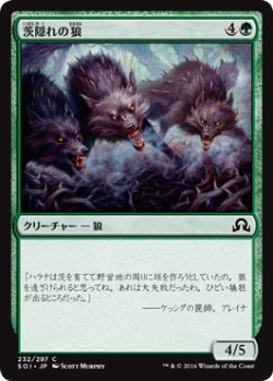 画像1: 茨隠れの狼/Thornhide Wolves (SOI)