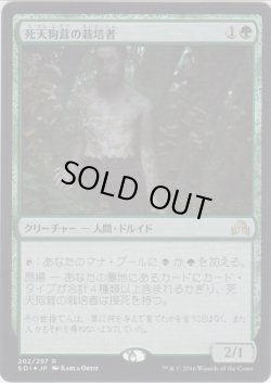 画像1: 死天狗茸の栽培者/Deathcap Cultivator (Prerelease Card)