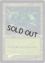 森/Forest【USG】(Arena)