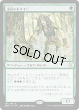 遺産のドルイド/Heritage Druid (EMA)
