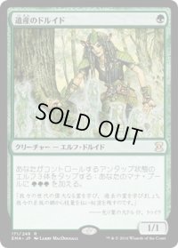 遺産のドルイド/Heritage Druid (EMA)