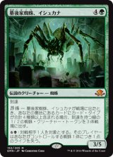 墓後家蜘蛛、イシュカナ/Ishkanah, Grafwidow (EMN)