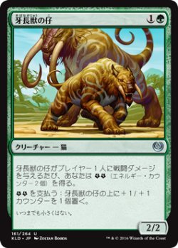 画像1: 牙長獣の仔/Longtusk Cub (KLD)