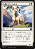 亢進するアイベックス/Thriving Ibex (KLD)