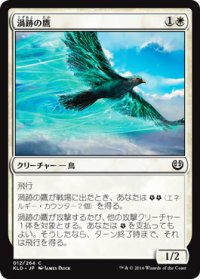 渦跡の鷹/Eddytrail Hawk (KLD)