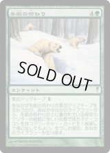 冬眠の終わり/Hibernation's End (CSP)