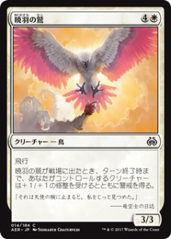 画像1: 暁羽の鷲/Dawnfeather Eagle (AER)