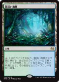 霧深い雨林/Misty Rainforest (MM3)