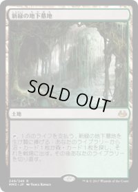 新緑の地下墓地/Verdant Catacombs (MM3)