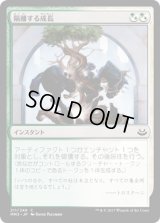 隔離する成長/Sundering Growth (MM3)