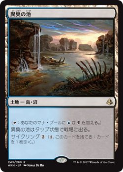 画像1: 異臭の池/Fetid Pools (AKH)