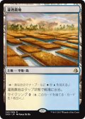 灌漑農地/Irrigated Farmland (AKH)