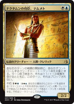 画像1: ナクタムンの侍臣、テムメト/Temmet, Vizier of Naktamun (AKH)