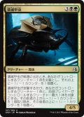 潰滅甲虫/Decimator Beetle (AKH)